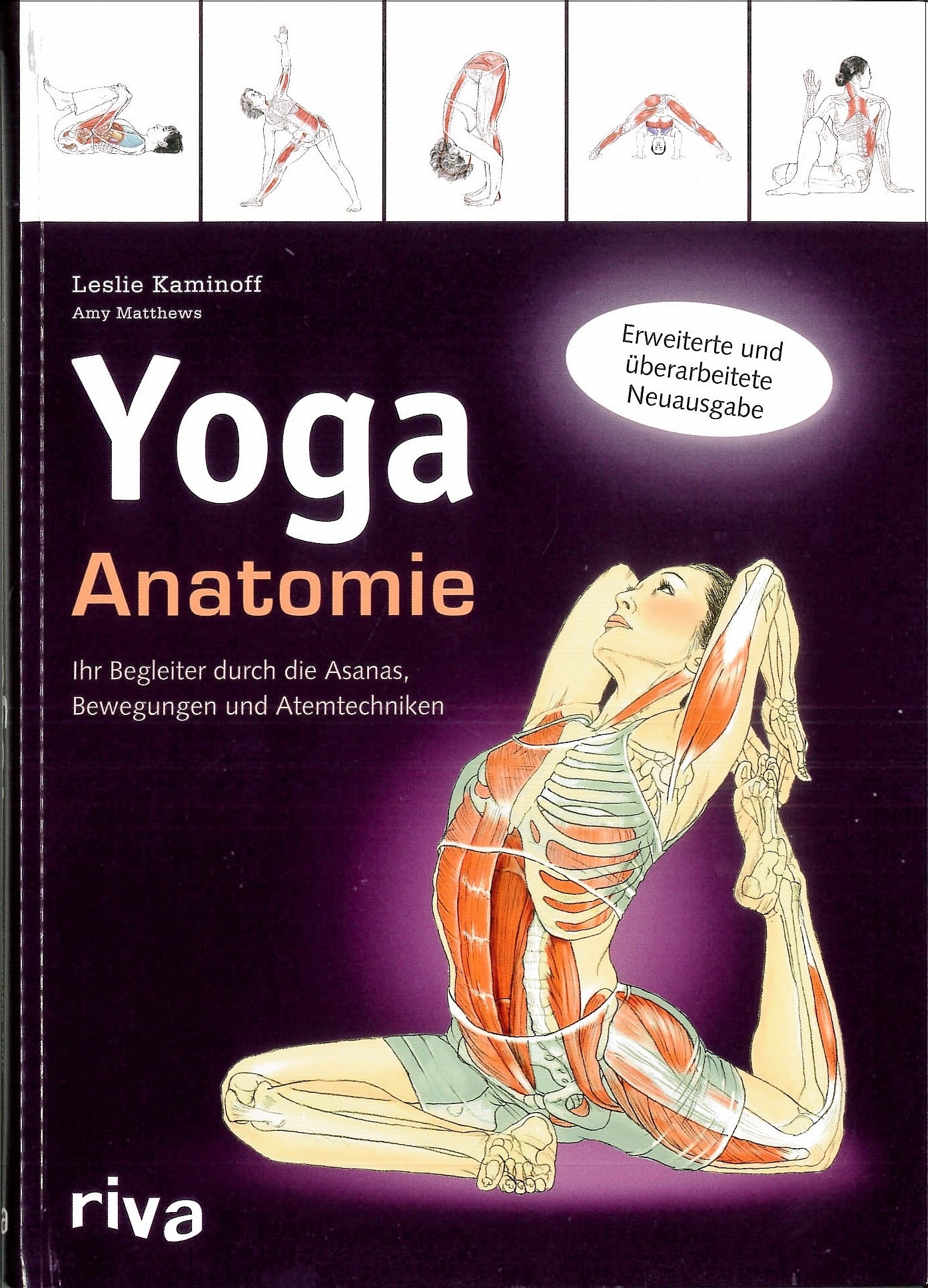 Yoga Anatomie