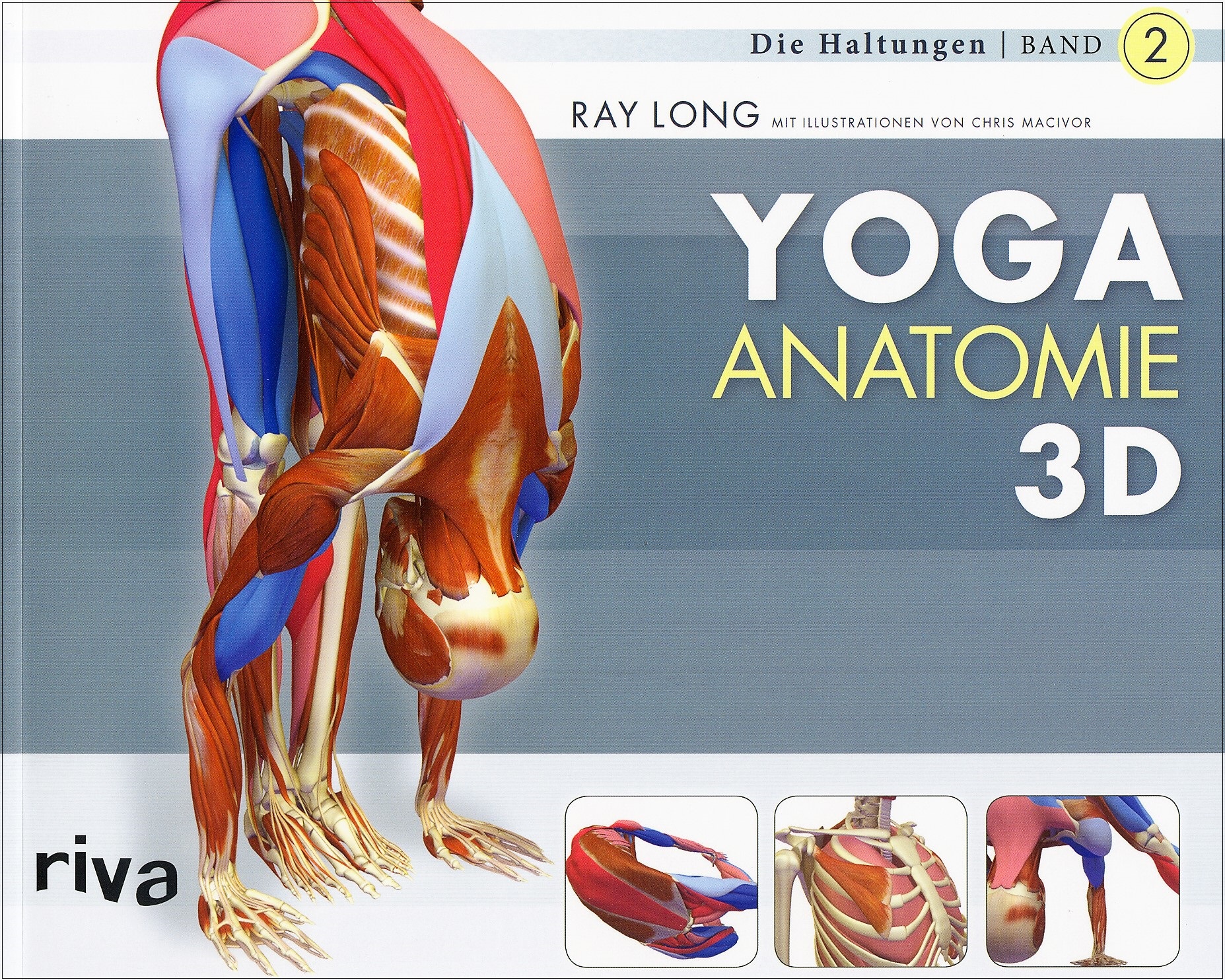 Yoga Anatomie 3D - Die Haltungen